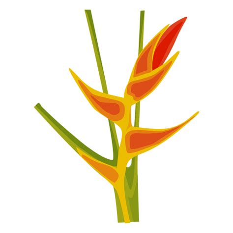 Diseño Png Y Svg De Canna Flor Tallo Brote Pétalo Plano Para Camisetas