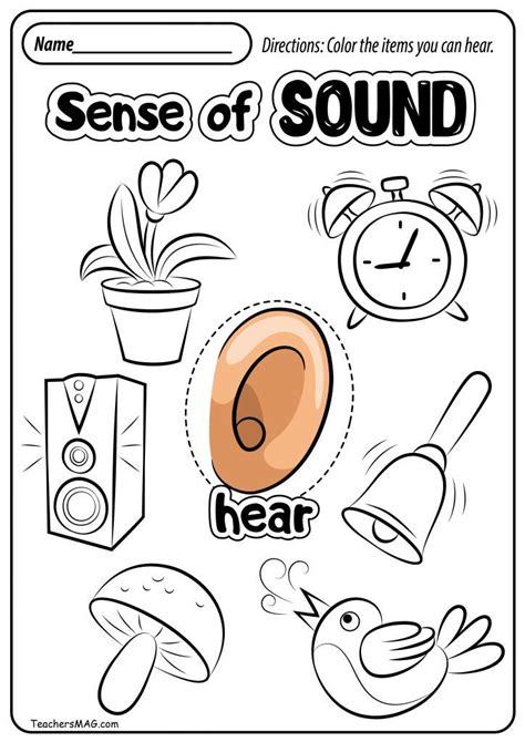 Preschool Printable Five Senses Worksheets