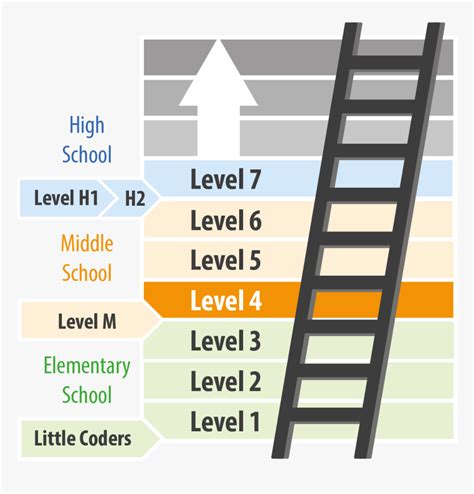 Programming Skill Levels Hd Png Download Kindpng