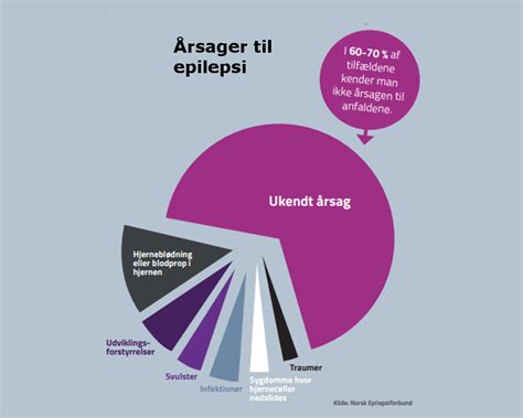 Fakta Om Epilepsi Epilepsiforeningen