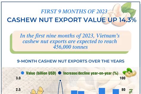 Cashew Nut Exports Up Percent In Value