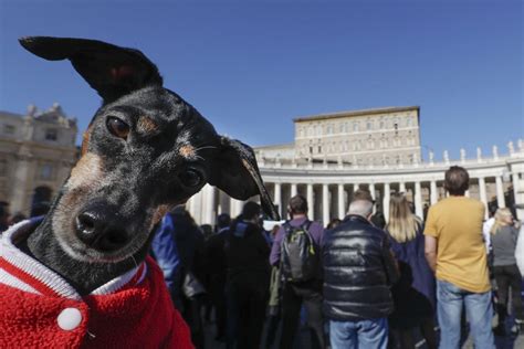 Photos Of The Week Ghost Ship Greek Spring Naked Festival The