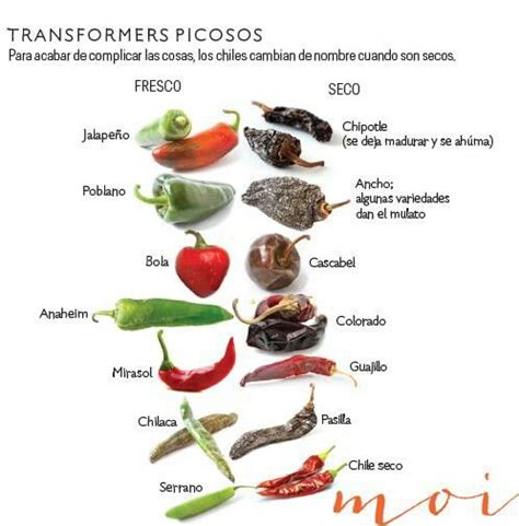 Diferentes Tipos De Chile Chiles Secos Authentic Mexican Recipes