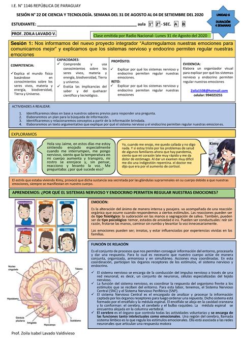 Explicamos Que Los Sistemas Nervioso Y Endocrino Permiten Regular