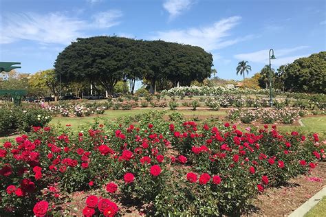farm park brisbane parks   brisbane