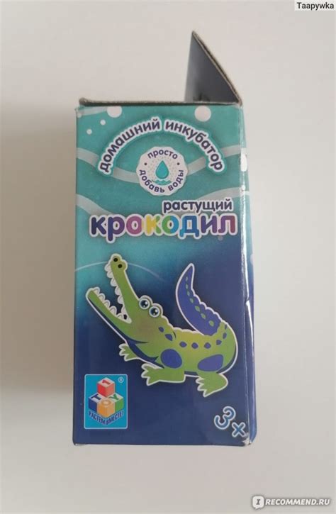 1Toys Яйцо "Растущий крокодил" Домашний инкубатор - «Купили в магазине ...