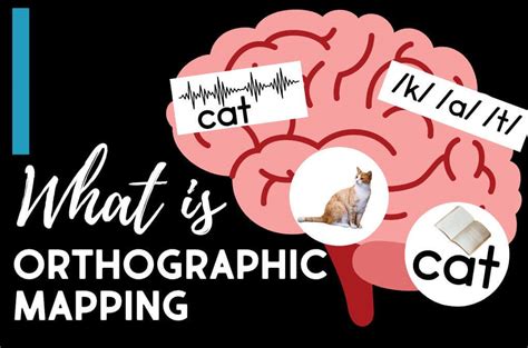 What Is Orthographic Mapping