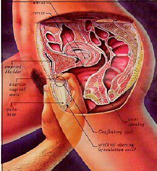 Which Sex Position Best Hits The G Spot LPSG