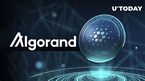 Cardano Layer 2 Protocol Announces Concerning News For Algorand Users