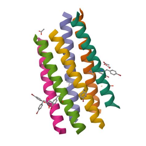 Rcsb Pdb A T A Collapsed Hexameric State Of A De Novo Coiled Coil