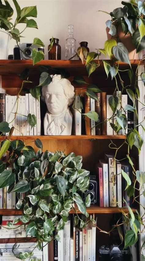 22 Plant Shelf Ideas That Are Perfectly Styled Artofit