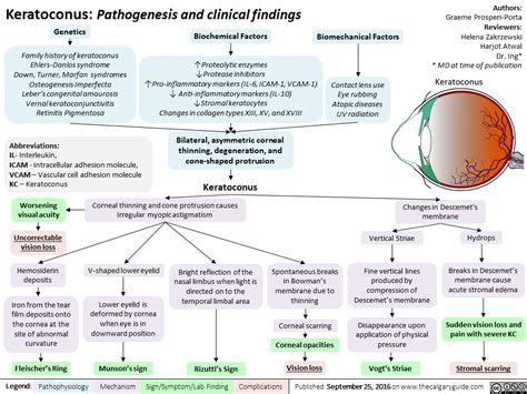 Keratoconus Pathogenesis And Clinical Findings Calgary Guide