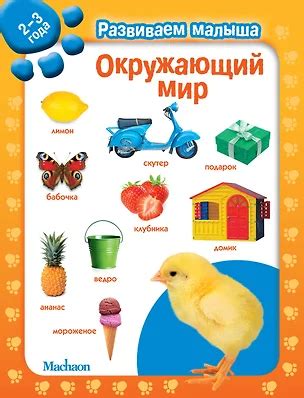 Окружающий мир. Развиваем малыша (2-3 года) 📖 купить книгу по выгодной ...