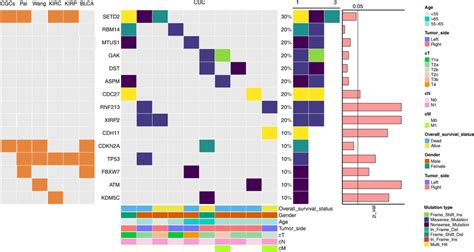 The Landscape Of Somatic Mutations Left Panel The Presence Of