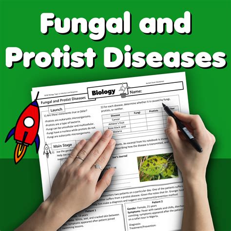 Fungal And Protist Diseases Home Learning Worksheet GCSE Rocketsheets