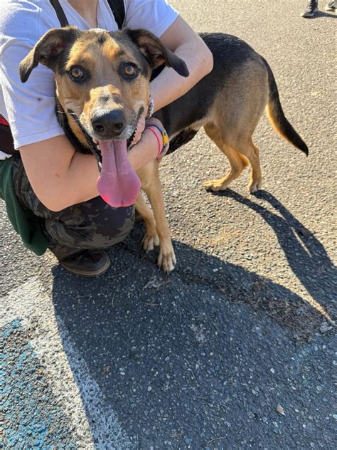 Residents praise the coos bay police department for transparency 21