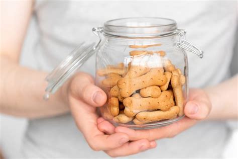 Can Dogs Eat Scooby Snacks Vet Verified Nutrition Facts Dogster