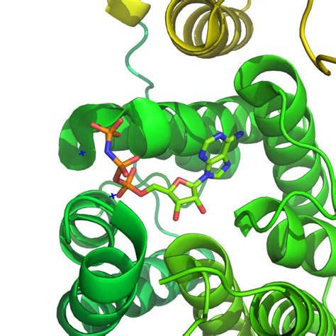 Kinase - Alchetron, The Free Social Encyclopedia