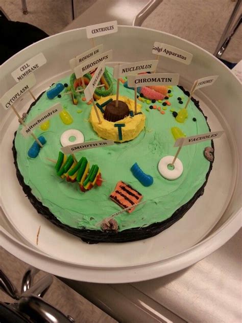 Animal Cell Model Project Cake