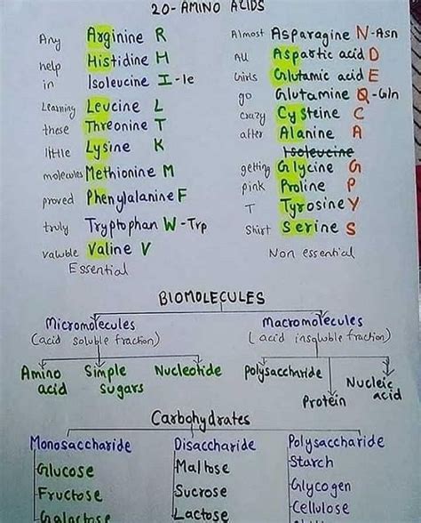 List Of Amino Acids Its All About To Help You So Don T Answer Please