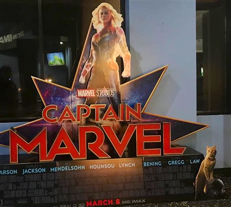 Captain Marvel Film Standee In Theatres With Goose On The Right Side 3