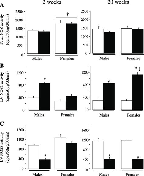 Cardiac Nitric Oxide Synthase Nos Activities In Response To Tac