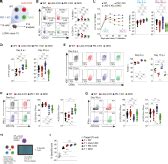 Lag Sustains Tox Expression And Regulates The Cd Nkg Qa B Axis To