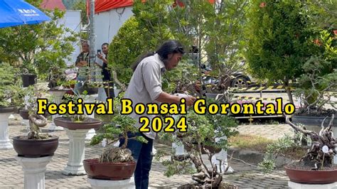 Pesona Bonsai Gorontalo Youtube