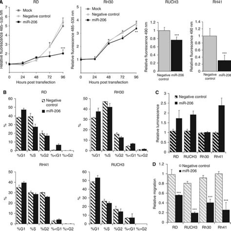 Overexpression Of Mir In Rms Cells Reduces Cell Proliferation Cell