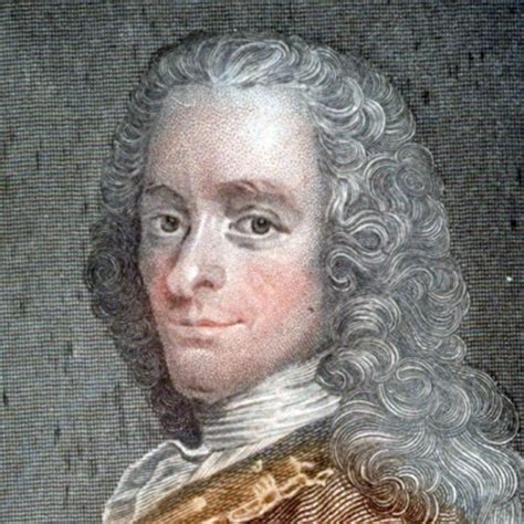 Voltaire on Writing | MICHAEL MAIELLO, Author