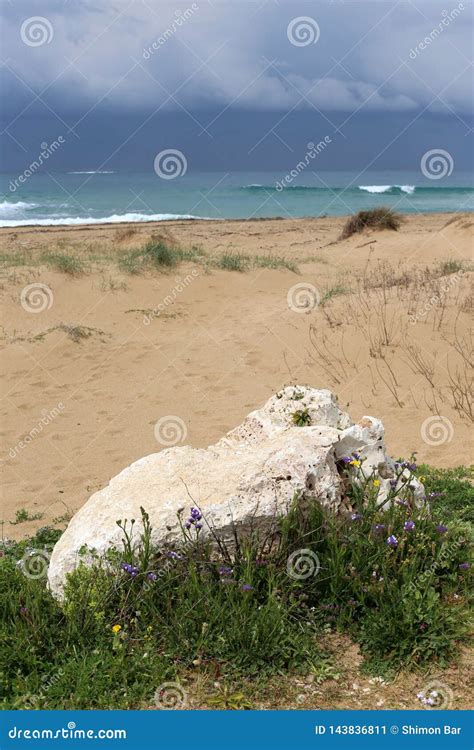 Piedras En Las Orillas Del Mediterr Neo Imagen De Archivo Imagen De