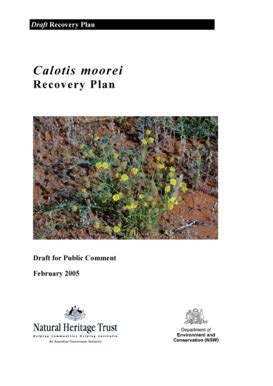 Fillable Online Environment Nsw Gov Calotis Moorei Office Of