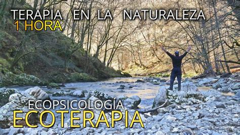 ECOPSICOLOGÍA TERAPIA EN LA NATURALEZA ECOTERAPIA VIDEO 4K