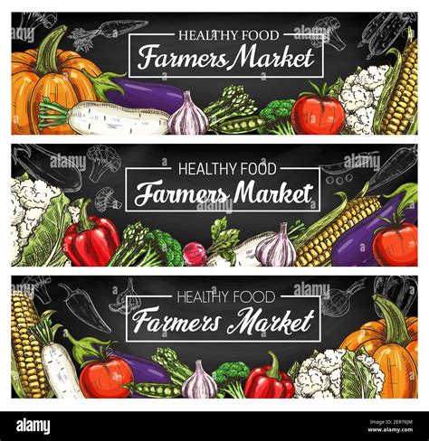 Vegetables Farm Market Food Banners Food Veggies Vector Sketch