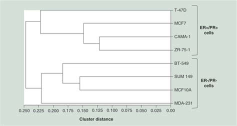 Full Article Genome Wide Methylation Analysis Of Dnmt3b Gene Isoforms