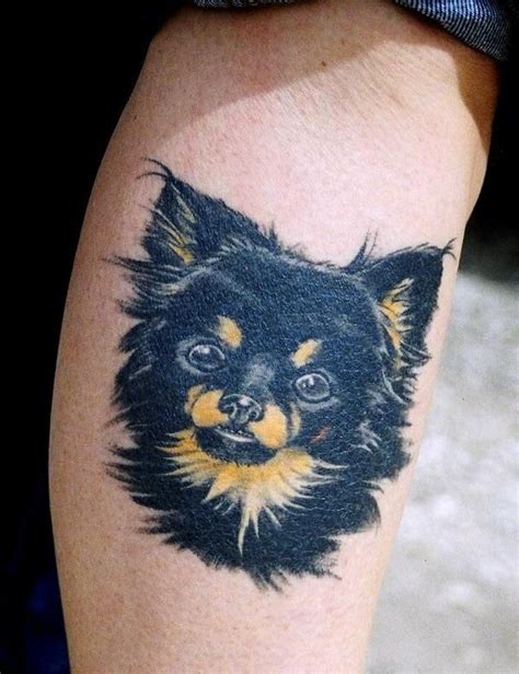 17 Best images about Chihuahua portrait tattoo on Pinterest | Chihuahuas, Chihuahua dogs and Ink