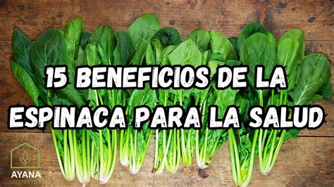 Descubre 15 Increíbles Beneficios De La Espinaca Para La Salud Youtube