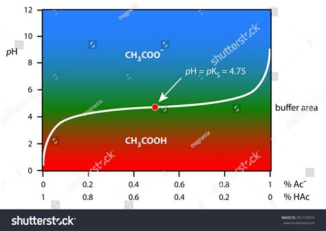 Buffer Curve Acetic Acid Acetate System 库存插图 351153674 Shutterstock