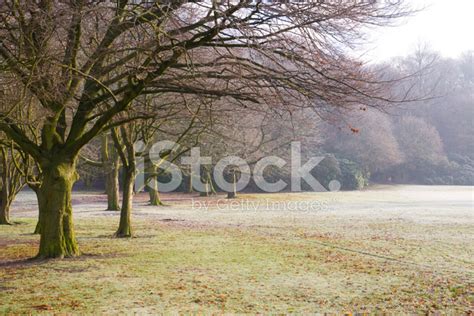 Frosty Winter Morning In English Countryside Stock Photo Royalty Free
