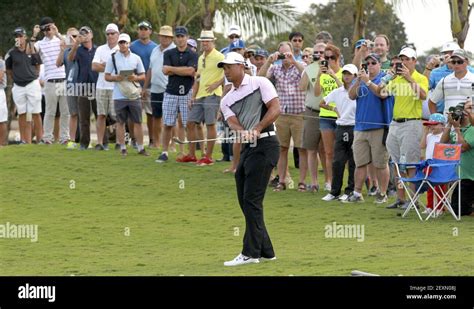 Fans Watch As Tiger Woods Hits A Practice Shot For The Wgc Cadillac