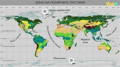 Страхотно! Природни зони на Земята. Степи. Гори в умерения пояс ...