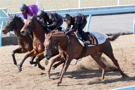 【弥生賞ディープインパクト記念】追って一言｜競馬ニュース｜競馬予想のウマニティ