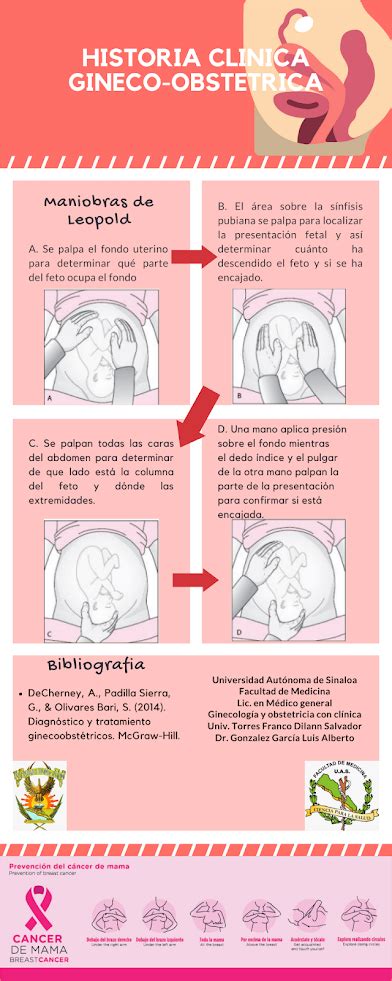 Historia Clínica Gineco Obstétrica