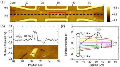 Surface Potential Mapping With Fm Kpfm A Fm Kpfm Surface Potential Download Scientific