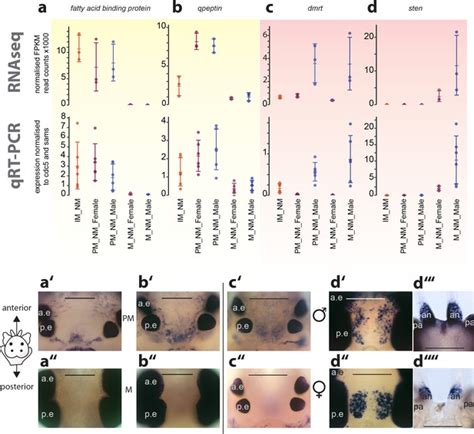 Combined Transcriptome And Proteome Profiling Reveals Specific