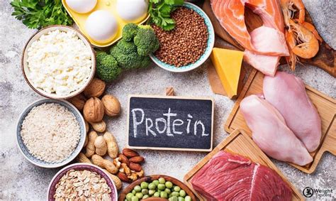 Beginner S Guide To Adopting A High Protein Diet