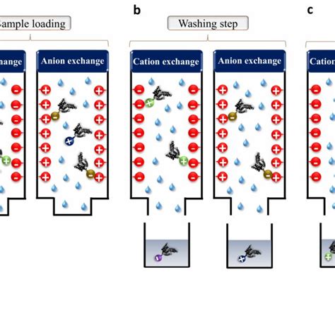 Schematic Illustration Of Ion Exchange Chromatography The