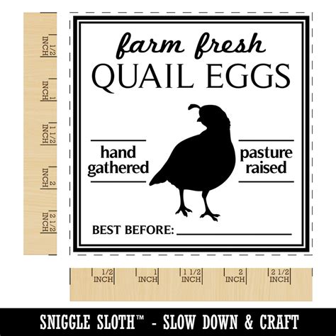 Farm Fresh Quail Eggs Hand Gathered Pasture Raised Best Before Date