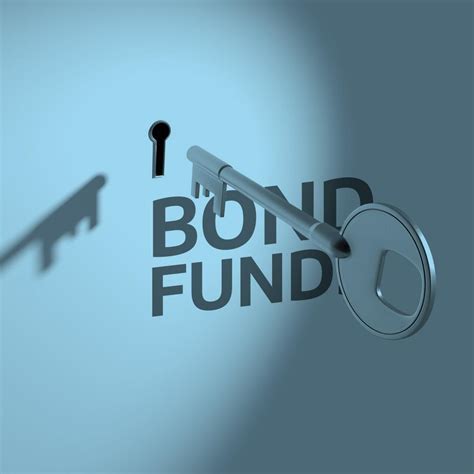 Bond Funds Performance 2024 - Sukey Engracia