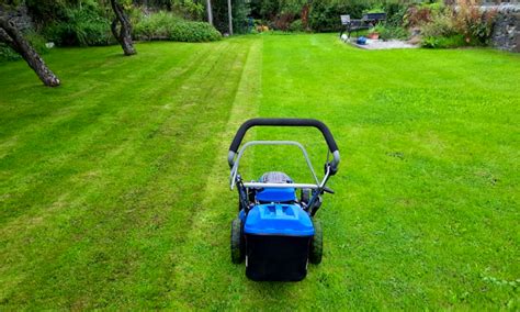 5 Best Lawn Mowers For Wet And Long Grass 2023 Review Uk